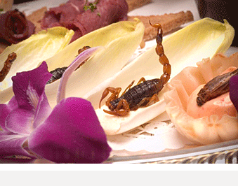 Scorpions with Endive and Herb Cheese